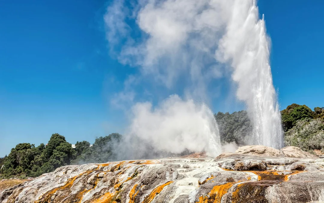 From Auckland: Waitomo Caves, Rotorua & Te Puia Guided Tour Image 3