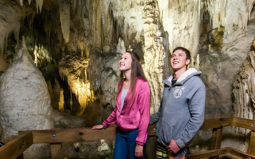 From Auckland: Waitomo Glowworm Caves Guided Tour Image 2