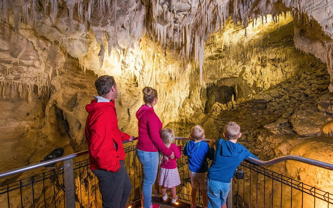 From Auckland: Waitomo Glowworm Caves Guided Tour Image 4