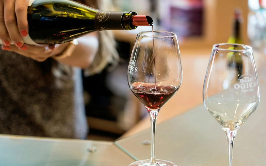 From Avignon: Full-Day Châteauneuf du Pape and Luberon Wine Tasting Tour Image 2