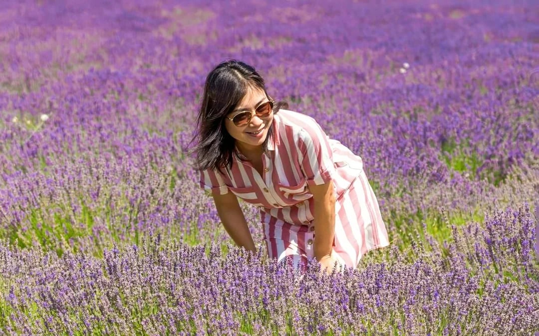 From Avignon: Lavender Fields Full-Day Tour Image 7