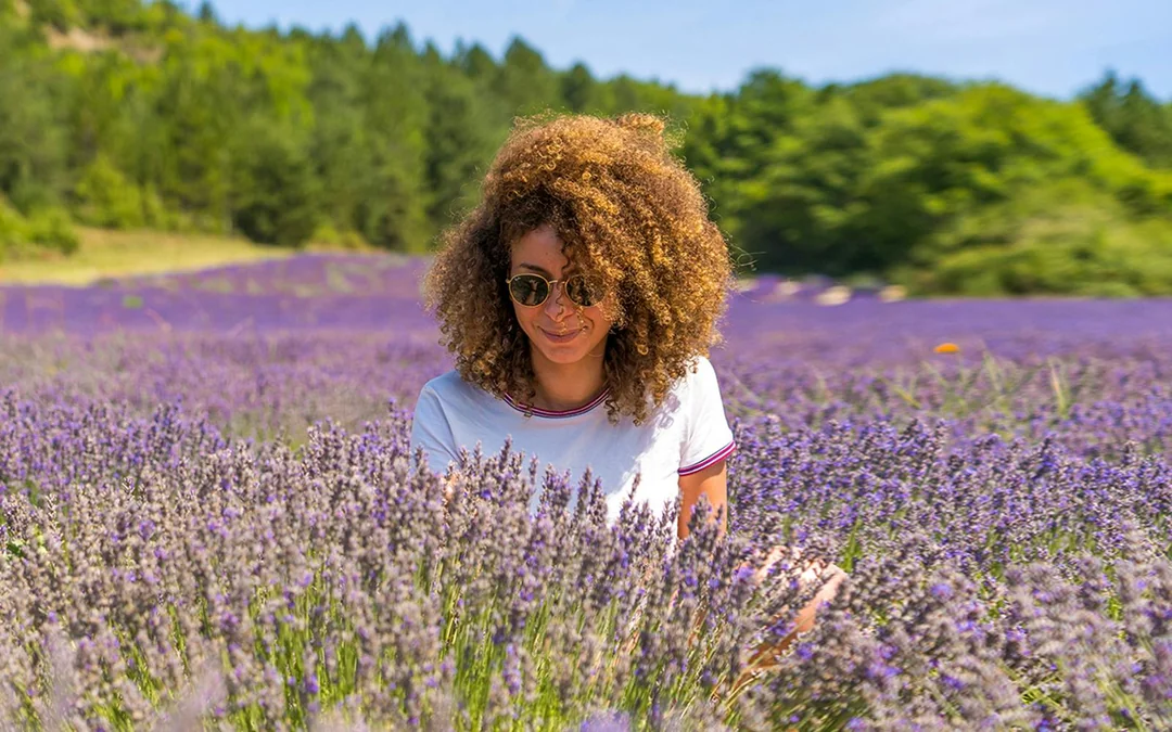 From Avignon: Lavender Fields Tour Image 1