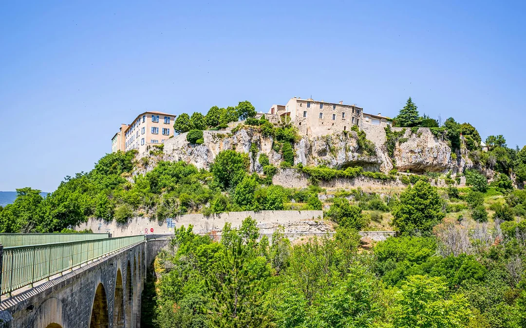 From Avignon: Lavender Fields Tour Image 5