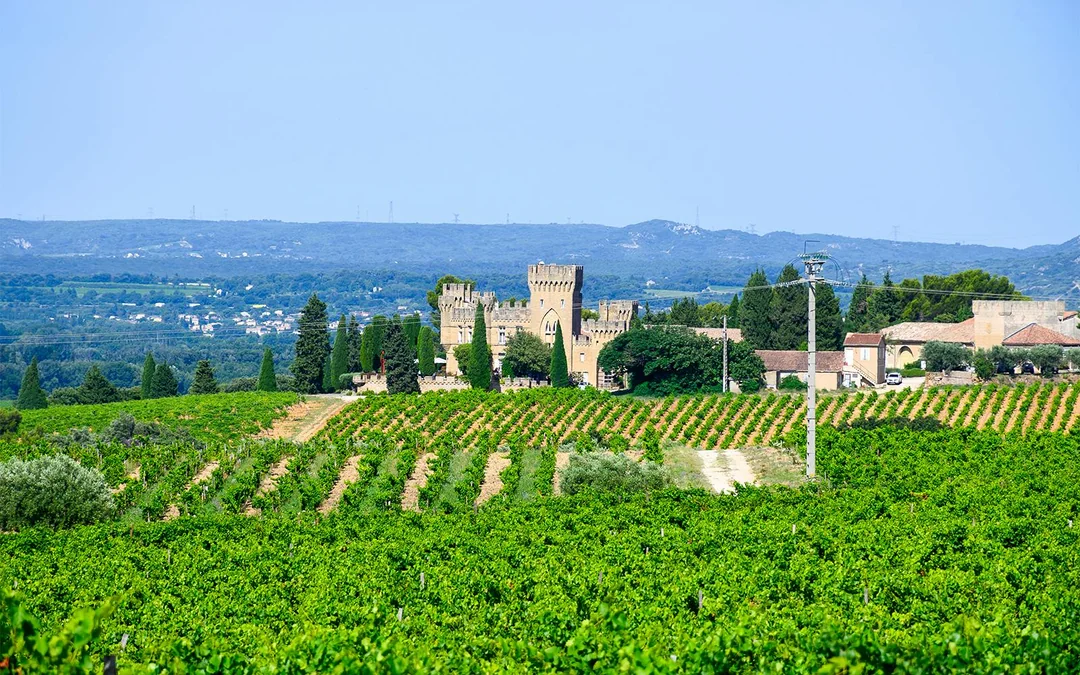 From Avignon: Wine Tour to Châteauneuf-du-Pape Image 2
