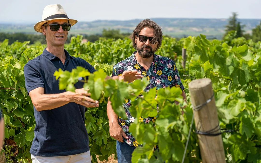From Avignon: Wine Tour to Châteauneuf-du-Pape Image 3