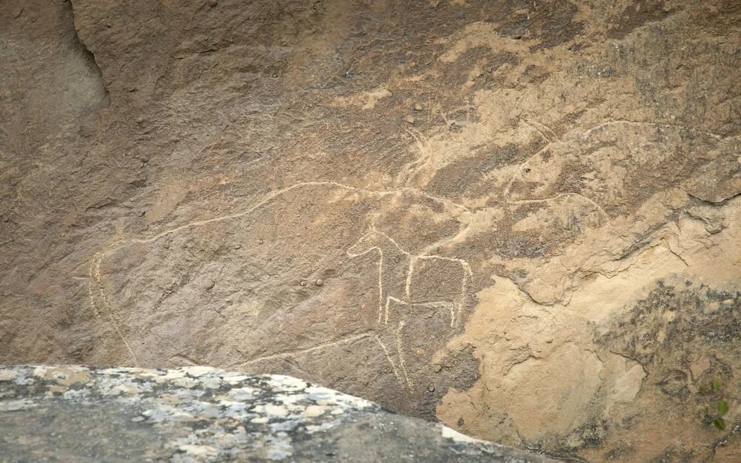 From Baku: Gobustan & Absheron Guided Day Tour with Historical Sites & Nature Highlights Image 2