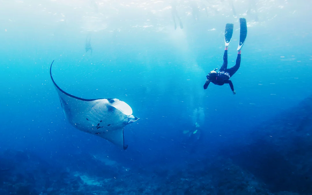 From Bali: Snorkelling with Manta Rays & Nusa Lembongan Day Tour Image 1