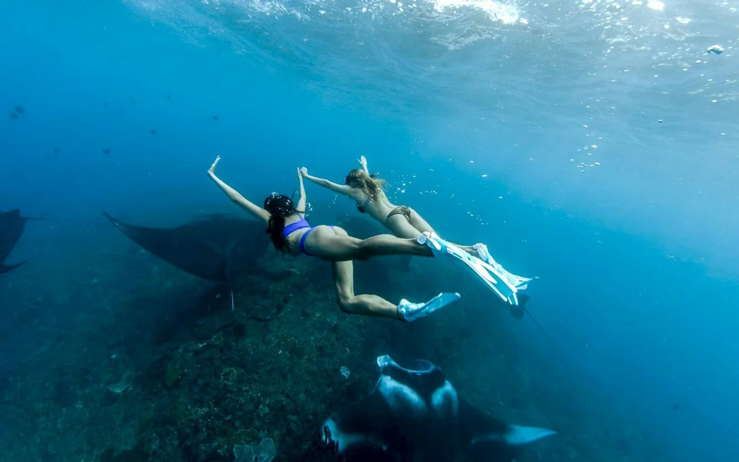 From Bali: Snorkelling with Manta Rays & Nusa Penida Day Tour Image 3