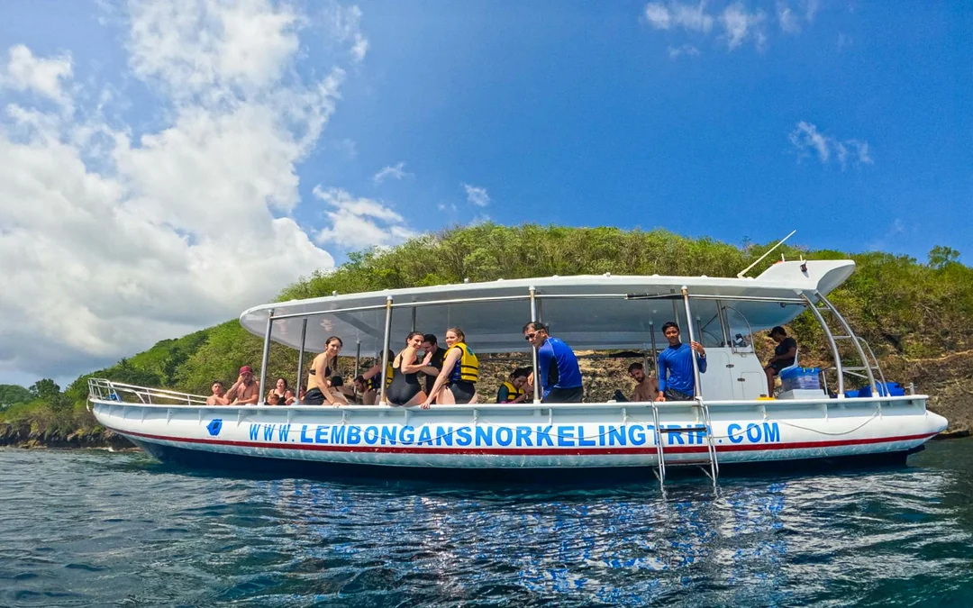From Bali: Snorkelling with Manta Rays
 Image 3