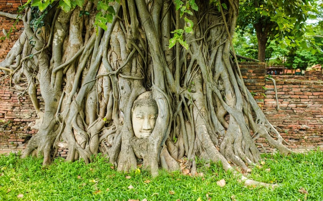 From Bangkok: Ayutthaya Historical Park and Lopburi Monkey Temple Small-Group Tour Image 3