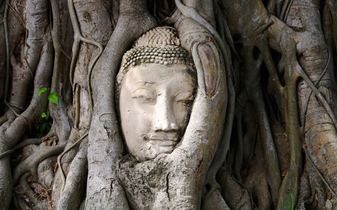 From Bangkok: Ayutthaya Historical Park Private Tour with Round-Trip Hotel Transfers Image 4