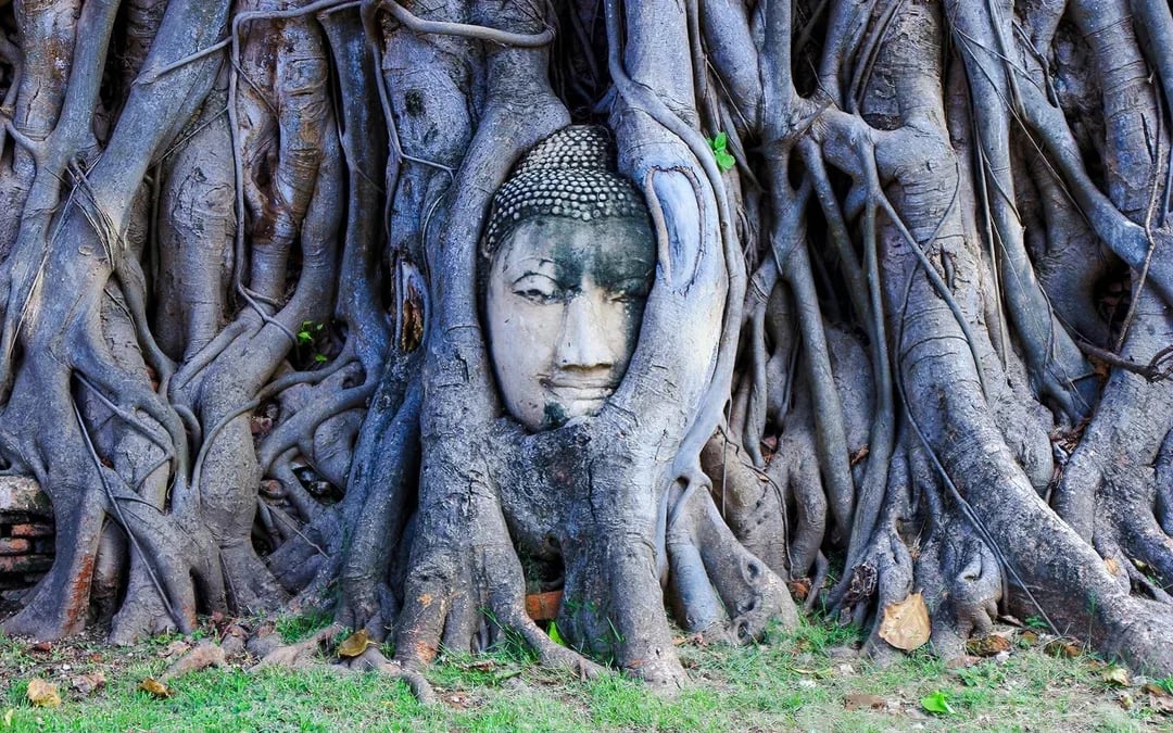 From Bangkok: Ayutthaya Temples Guided Half-Day Tour Image 4