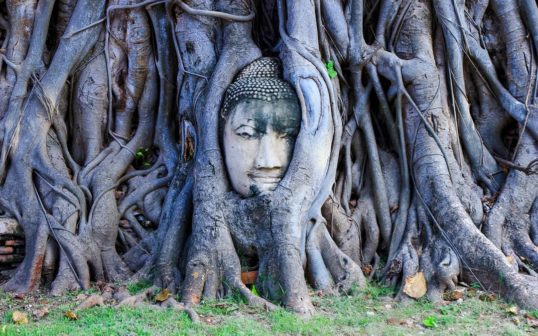 From Bangkok: Ayutthaya Temples Guided Half-Day Tour Image 4