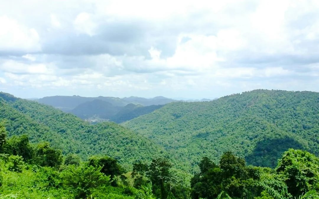 From Bangkok: Khao Yai National Park Small-Group Day Trip with Park Entrance Fee Image 1
