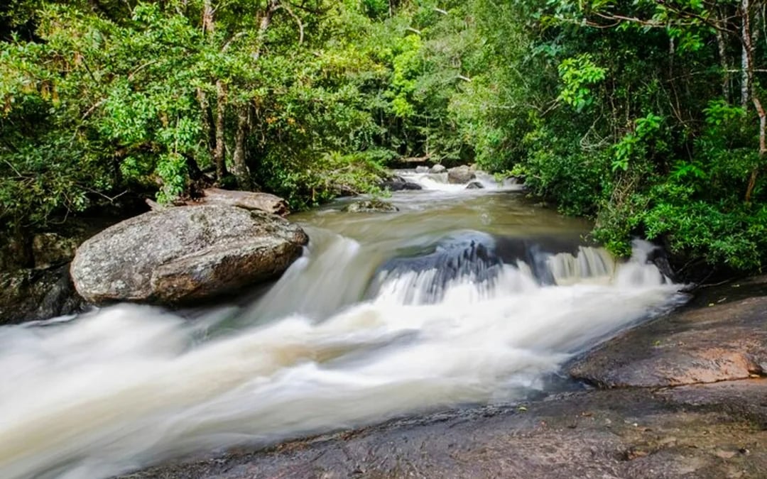 From Bangkok: Khao Yai National Park Small-Group Day Trip with Park Entrance Fee Image 3
