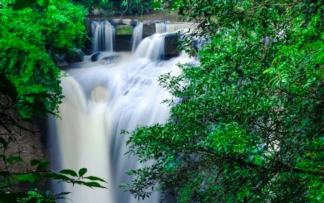 From Bangkok: Khao Yai National Park Small-Group Day Trip with Park Entrance Fee Image 6