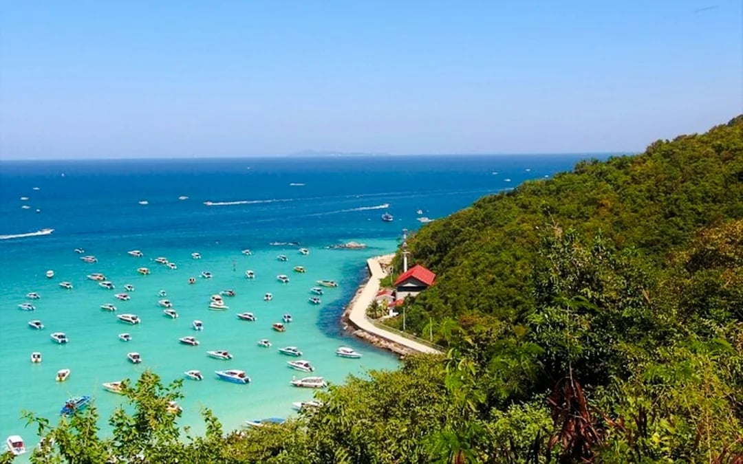 From Bangkok: Koh Larn Coral Island and Art in Paradise Pattaya Day Trip Image 1