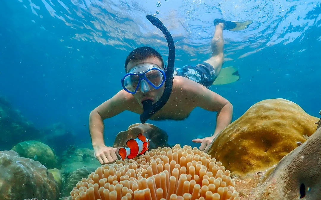 From Bangkok: Nemo Island Guided Tour with Lunch Image 1