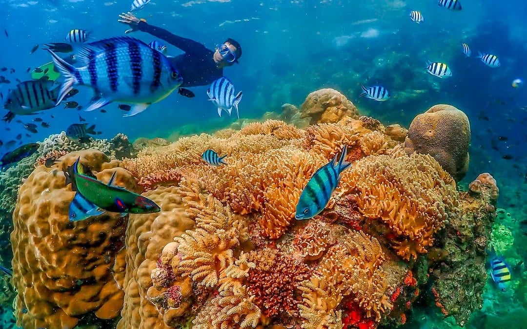 From Bangkok: Nemo Island Guided Tour with Lunch Image 7