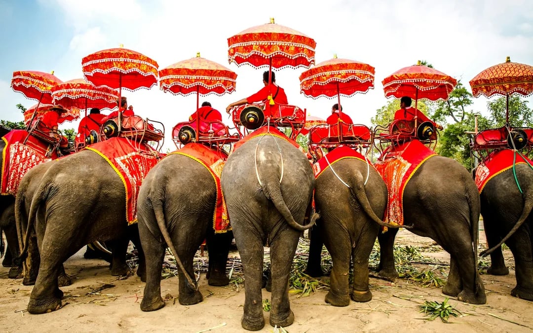 From Bangkok: Private Ayutthaya Historical Park Day Tour Image 6