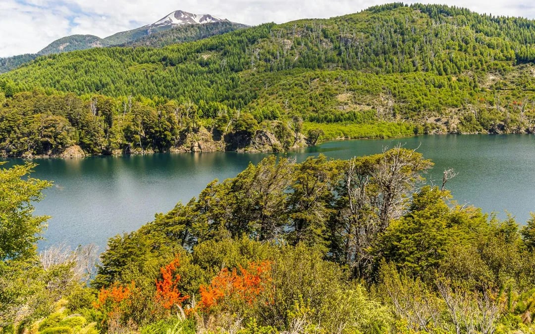 From Bariloche: 7 Lakes & San Martín de los Andes Tour Image 7
