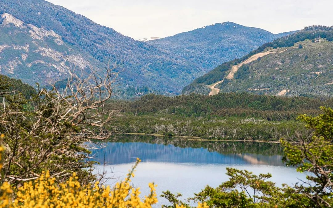 From Bariloche: 7 Lakes & San Martín de los Andes Tour Image 9