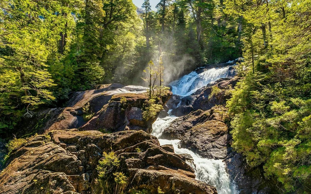 From Bariloche: Puerto Blest & Los Cántaros Waterfall Tour Image 3