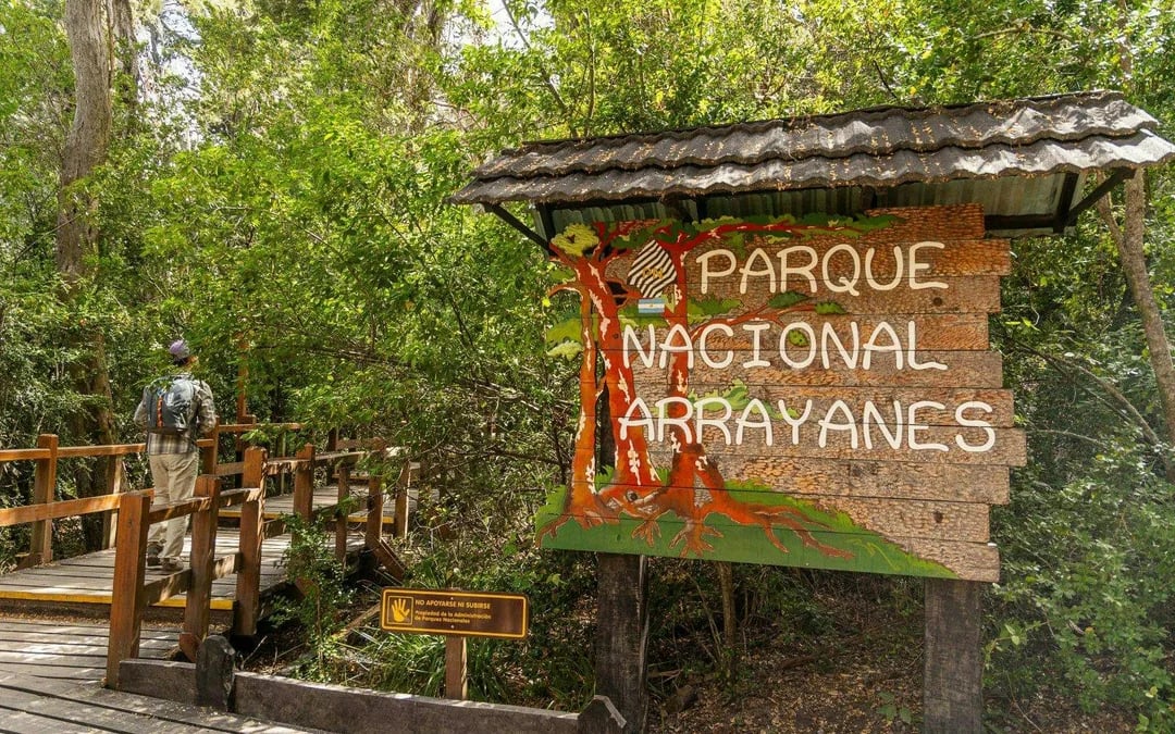 From Bariloche: Victoria Island & Arrayanes Forest Tour Image 9