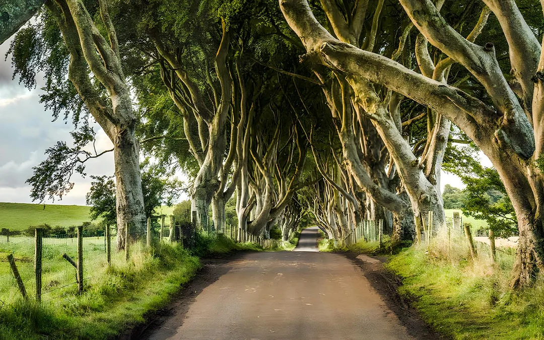 From Belfast: Giant’s Causeway and Titanic Experience Full-Day Tour Image 4