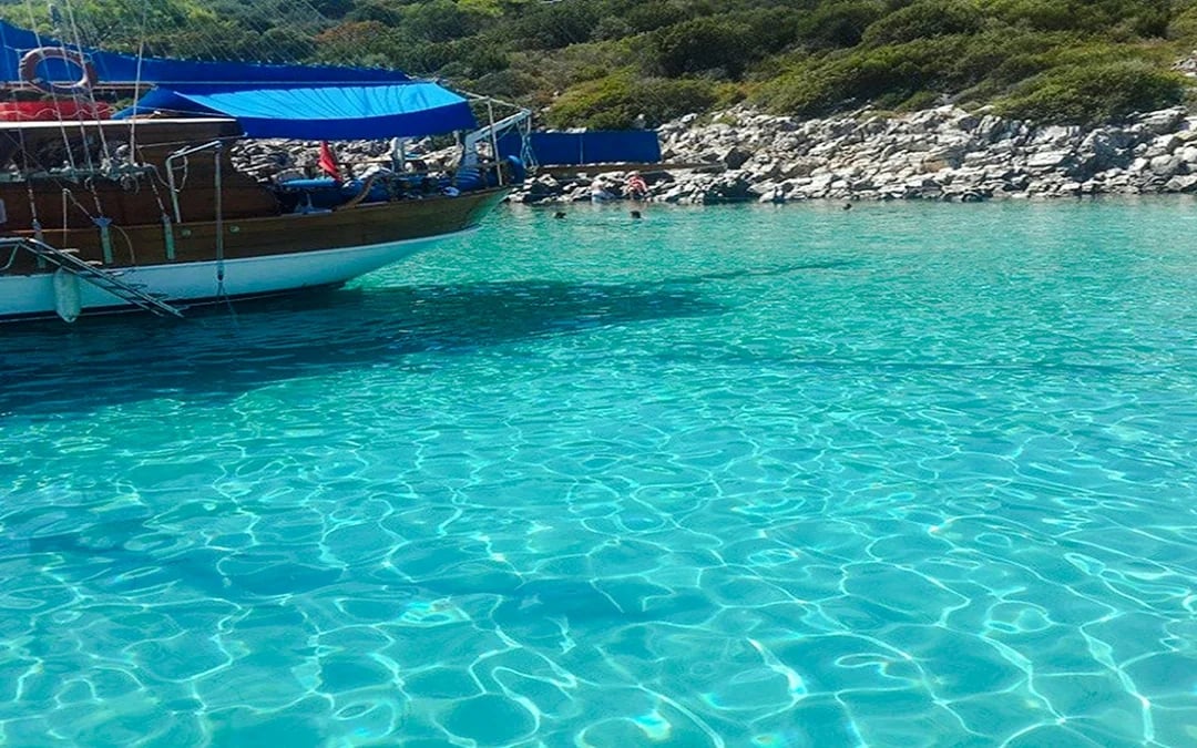 From Bodrum: Orak Island Boat Tour with Lunch and Hotel Transfers Image 11