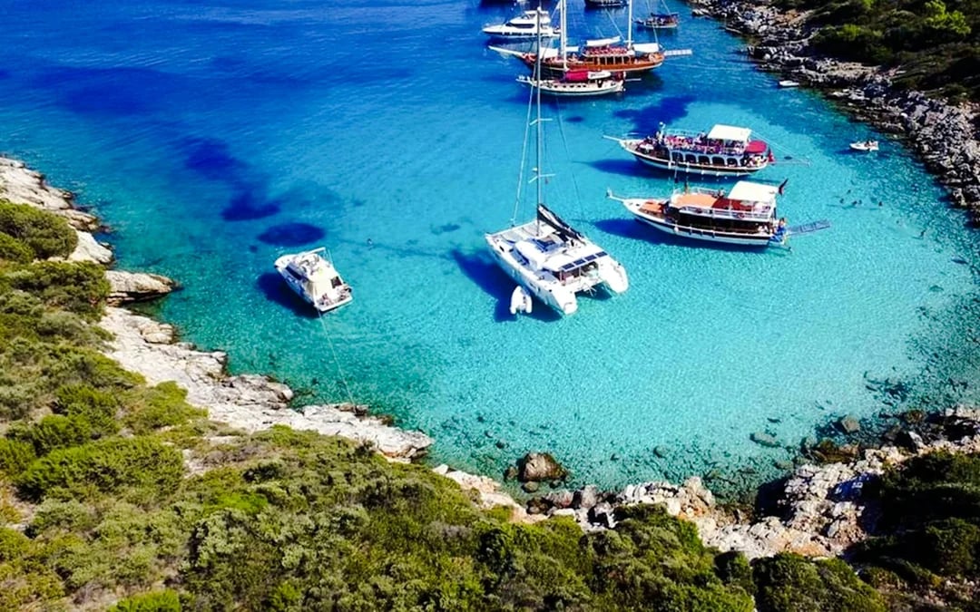 From Bodrum: Orak Island Boat Tour with Lunch and Hotel Transfers Image 4
