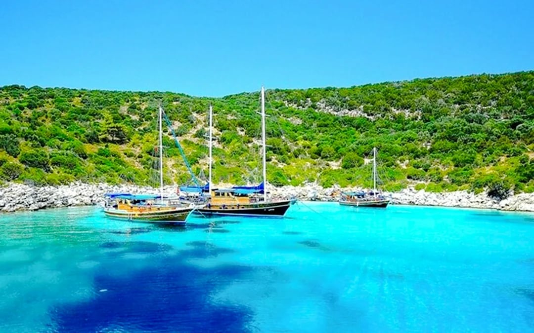 From Bodrum: Orak Island Boat Tour with Lunch and Hotel Transfers Image 6