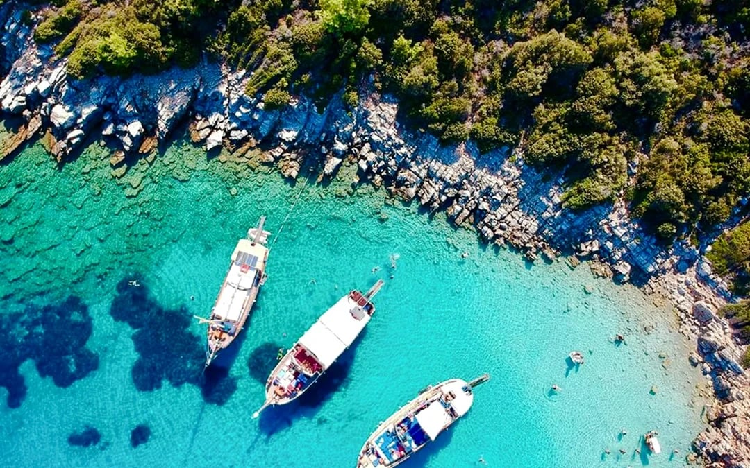 From Bodrum: Orak Island Boat Tour with Lunch and Hotel Transfers Image 7