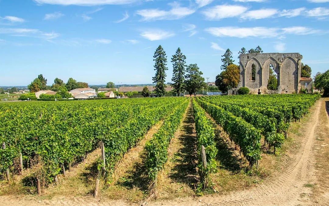 From Bordeaux: Saint-Émilion Half-Day Guided Tour Image 3