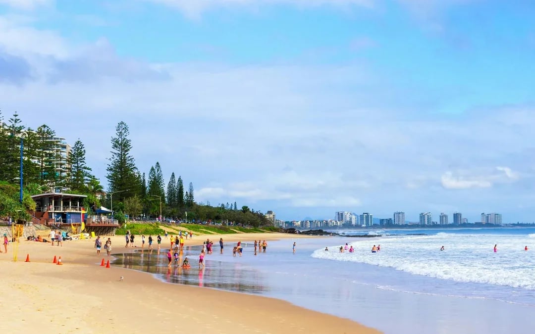 From Brisbane: Australia Zoo, Mooloolaba Beach & Surf Club Tour with Lunch & Drinks Image 3