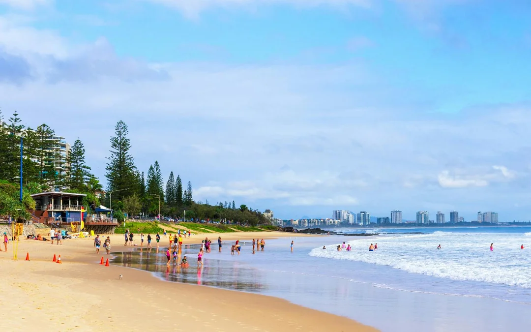 From Brisbane: Australia Zoo, Mooloolaba Beach & Surf Club Tour with Lunch & Drinks Image 3