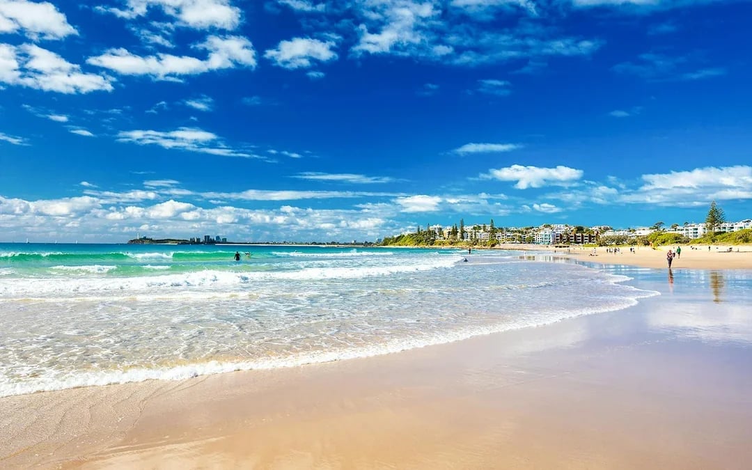 From Brisbane: Australia Zoo, Mooloolaba Beach & Surf Club Tour with Lunch & Drinks Image 6