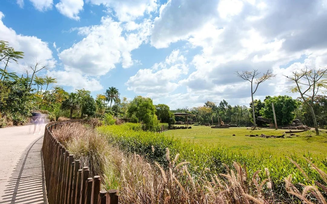 From Brisbane: Australia Zoo, Mooloolaba Beach & Surf Club Tour with Lunch & Drinks Image 7