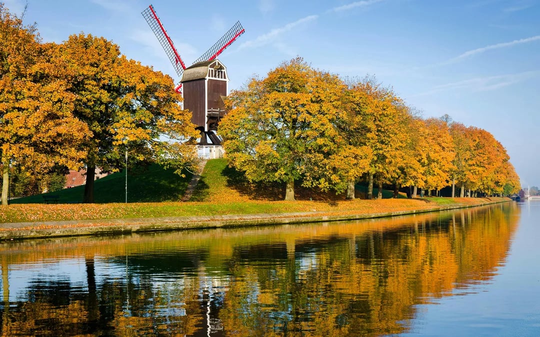 From Brussels to Bruges Day Trip: Canal Boat, Windmills & Damme Image 5