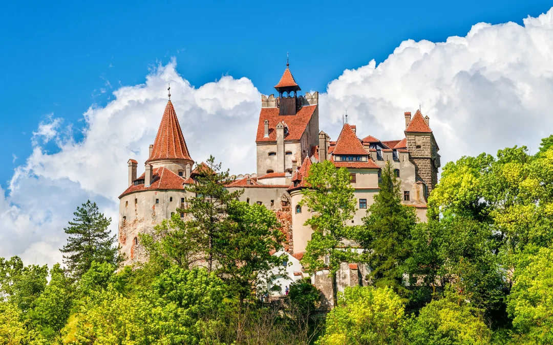From Bucharest: Bear Sanctuary, Bran Castle & Brasov Day Tour Image 3