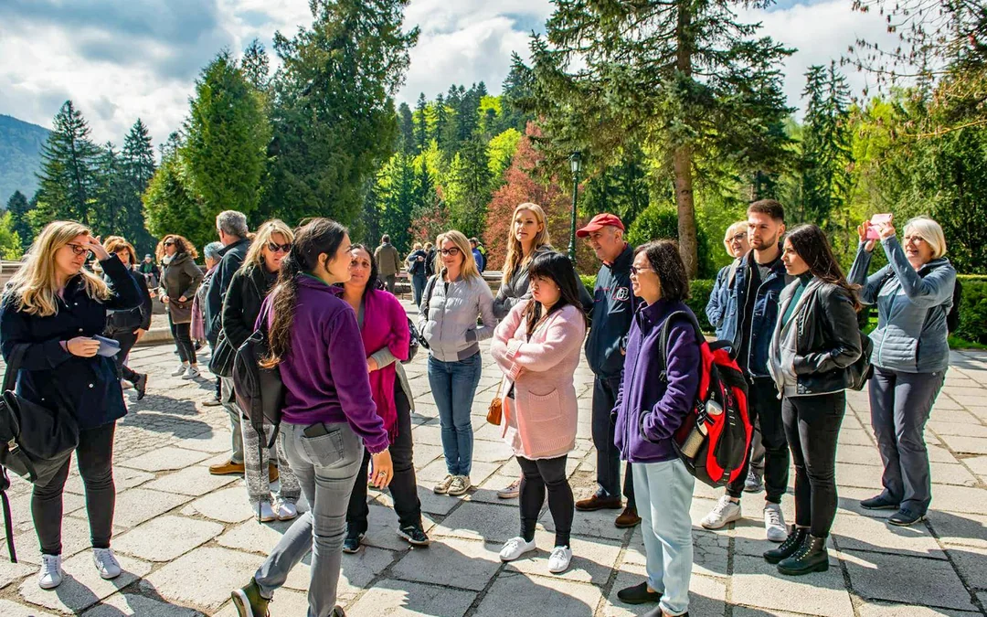 From Bucharest: Bear Sanctuary, Bran Castle & Brasov Day Tour Image 4