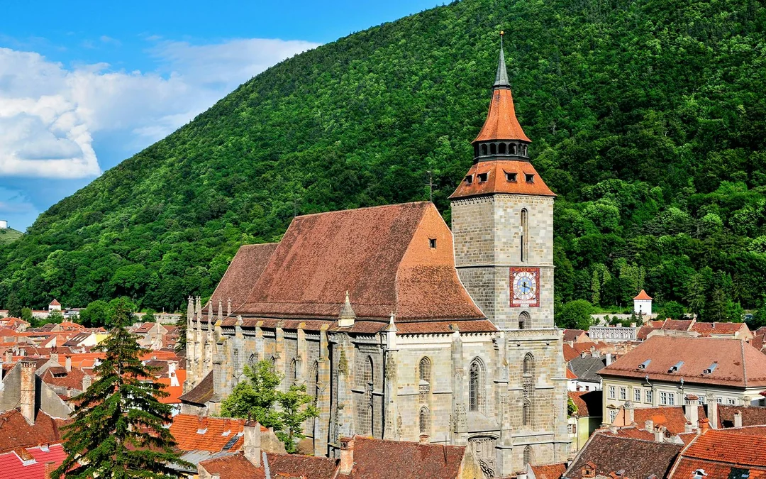 From Bucharest: Bear Sanctuary, Bran Castle & Brasov Day Tour Image 5