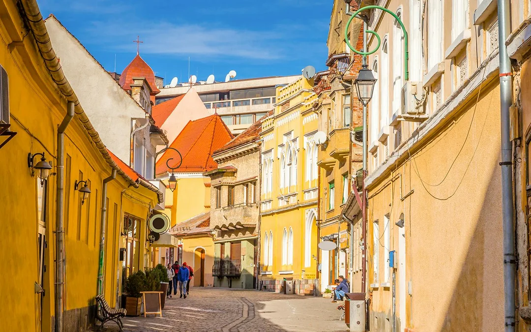 From Bucharest: Bran Castle, Peles Castle, & Brasov Small-Group Guided Tour
 Image 12