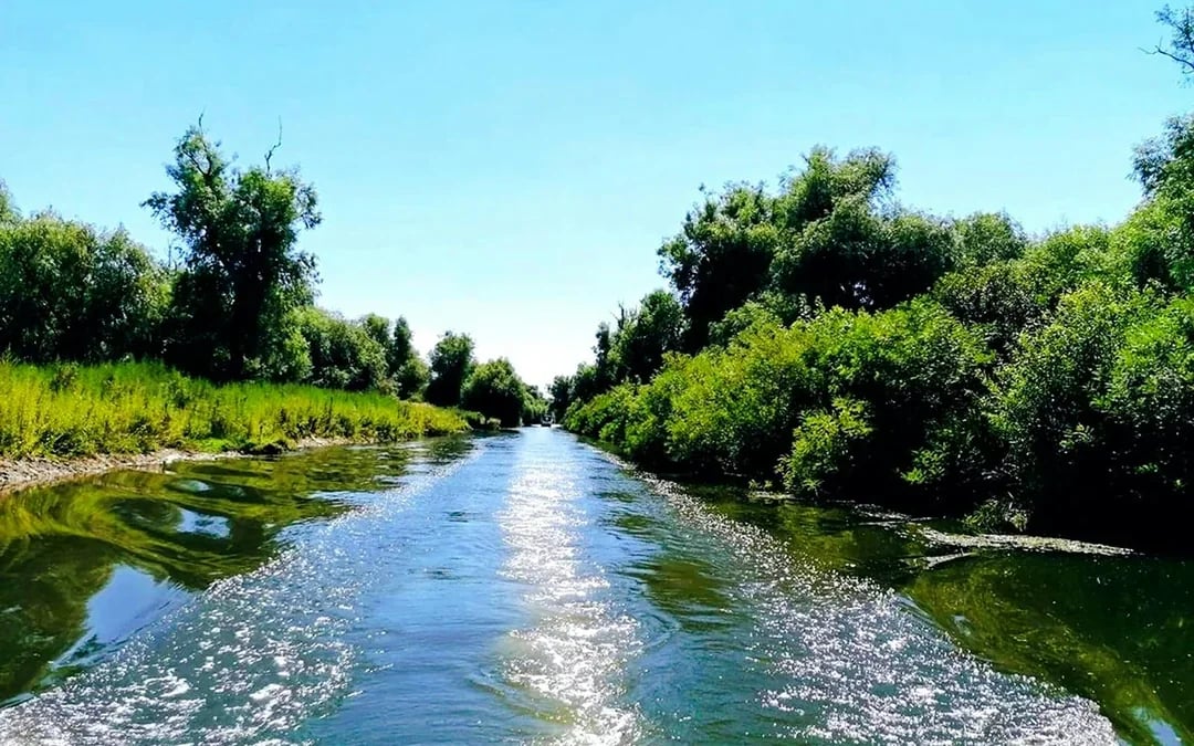 From Bucharest: Danube Delta Small-Group Guided Tour with Private Speedboat & Hotel Transfers Image 2