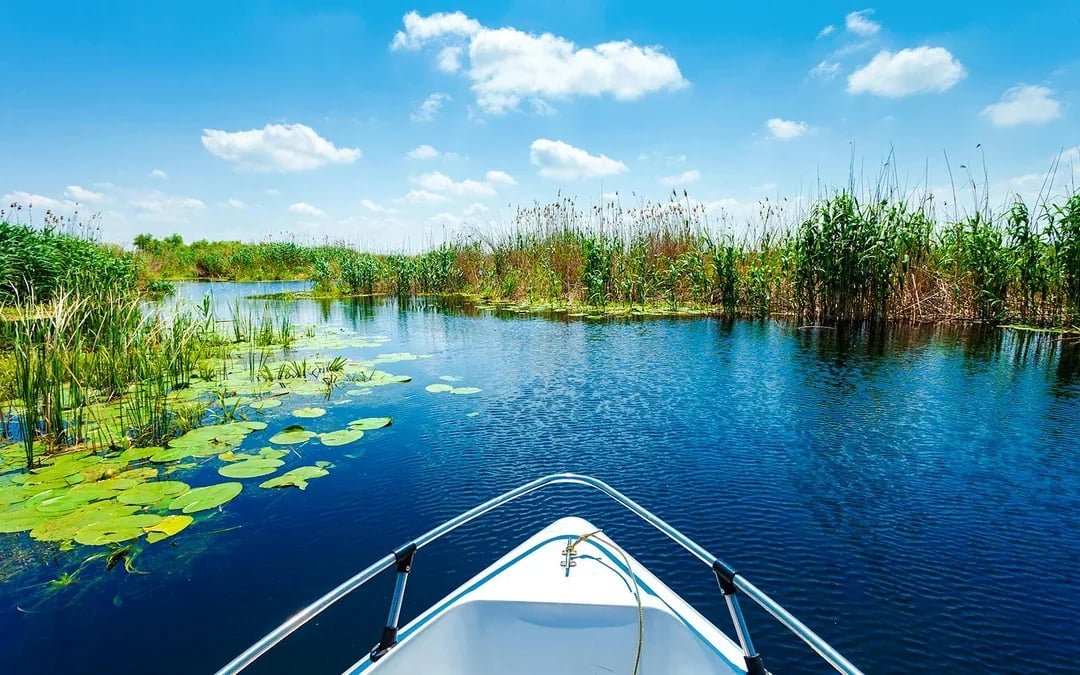 From Bucharest: Danube Delta Small-Group Guided Tour with Private Speedboat & Hotel Transfers Image 4