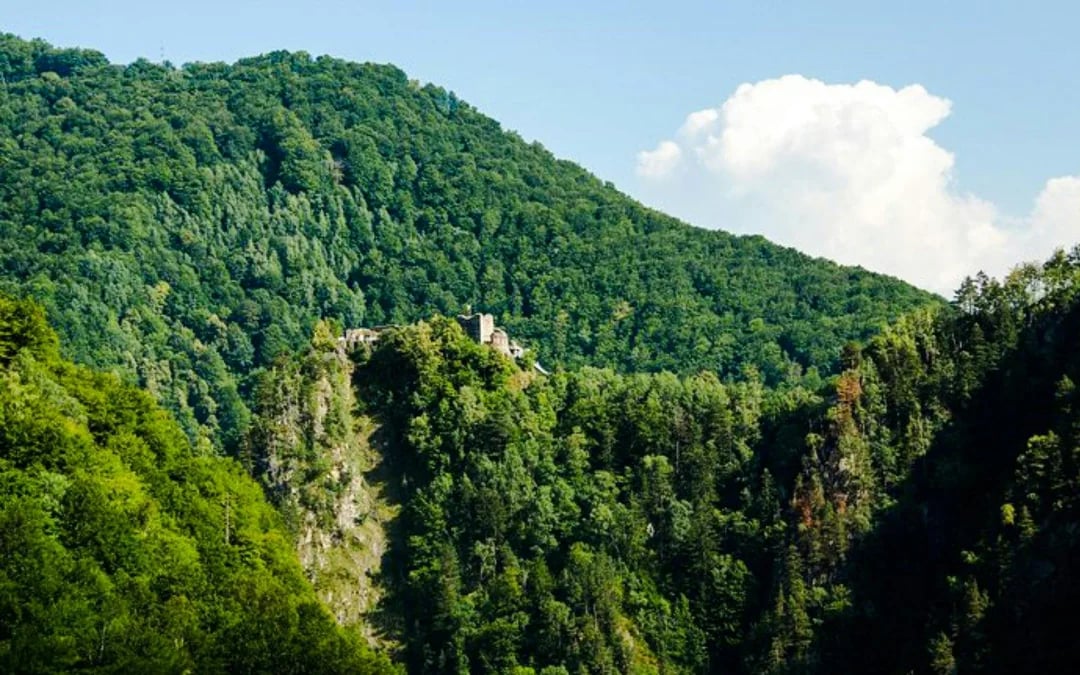 From Bucharest: Transfăgărășan Highway & Poienari Fortress Day Trip
 Image 7