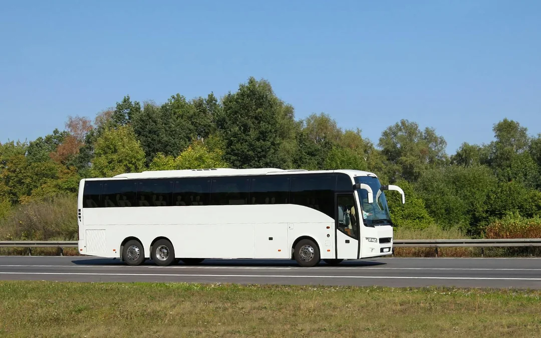 From Budapest: Danube Bend Day Trip
 Image 8