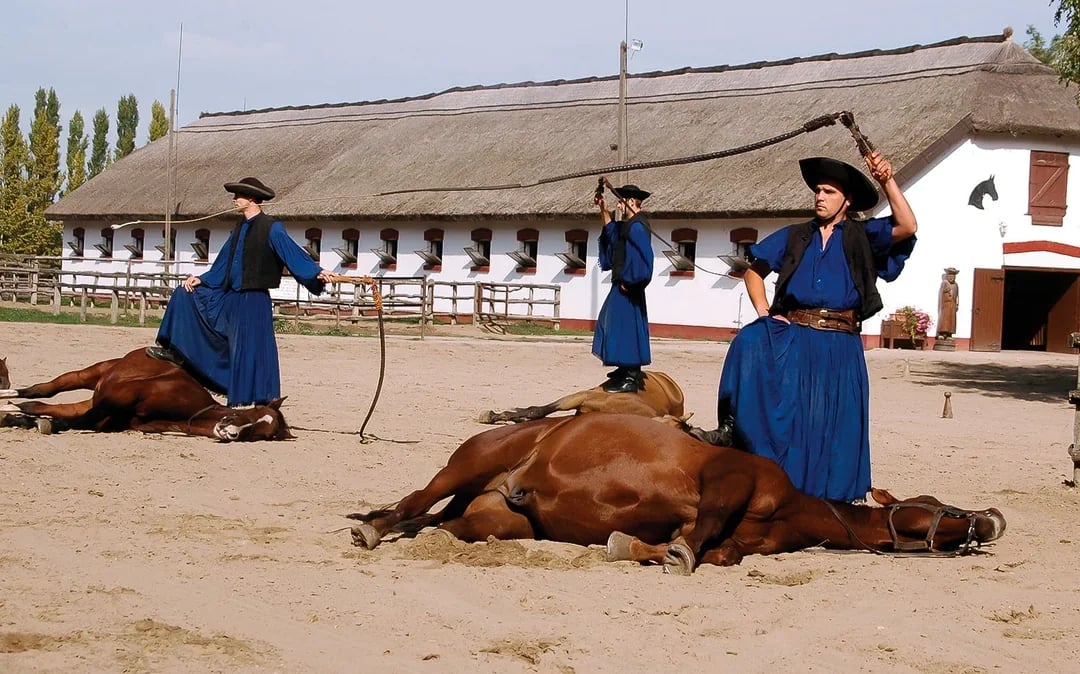 From Budapest: Kecskemet with Traditional Horse Show Day Trip
Image 1