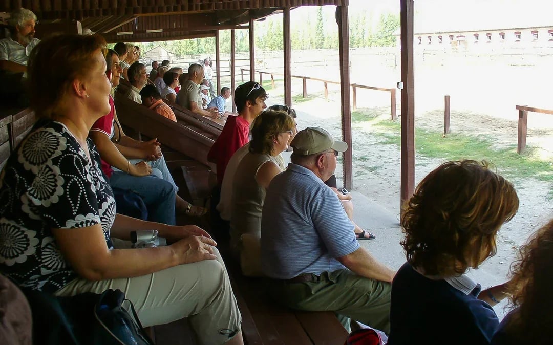 From Budapest: Kecskemet with Traditional Horse Show Day Trip
 Image 6