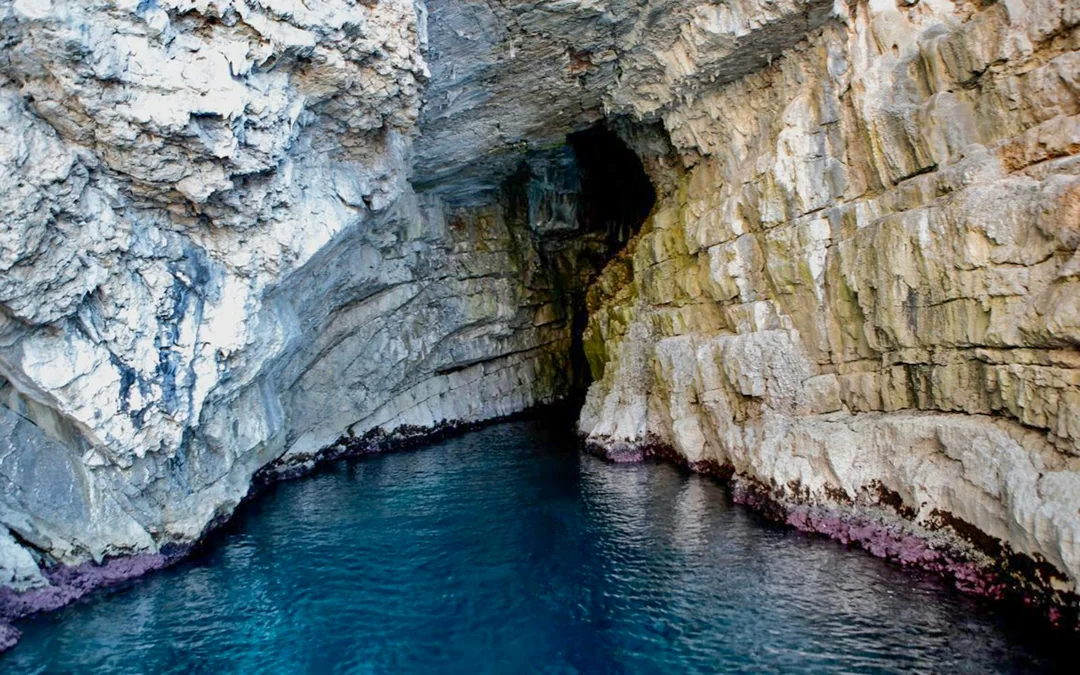 From Budva: Blue Caves, Kotor Bay, Our Lady of the Rock Full-Day Boat Tour Image 5
